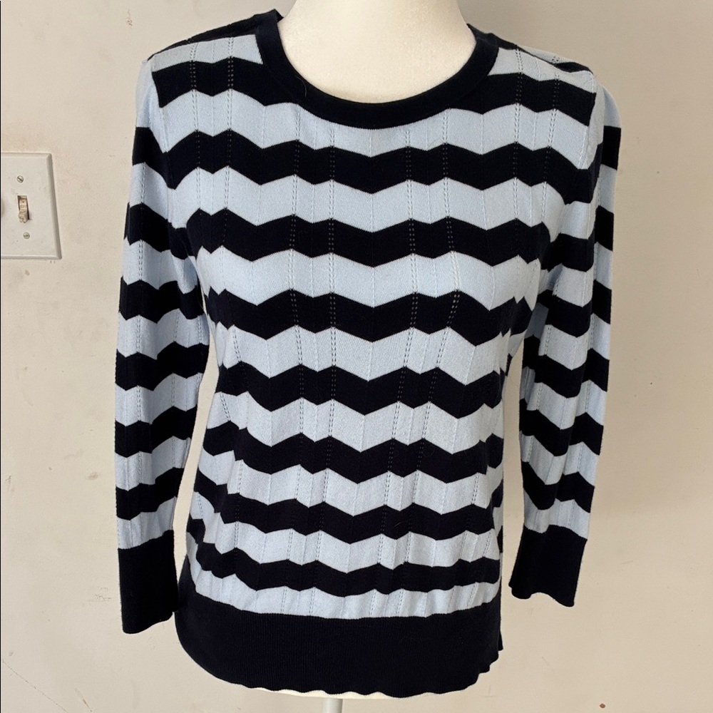 Ann Taylor - Blue Chevron Patterned Sweater/Knit